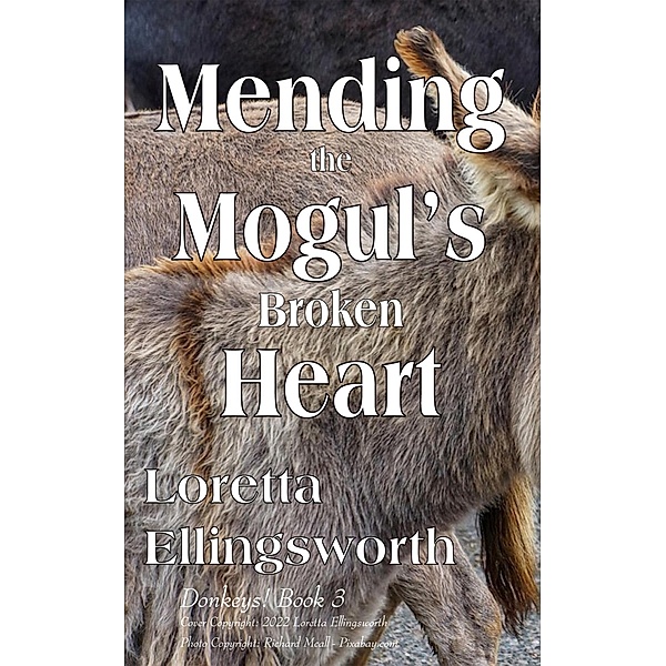 Mending the Mogul's Broken Heart (Donkeys!, #3) / Donkeys!, Loretta Ellingsworth