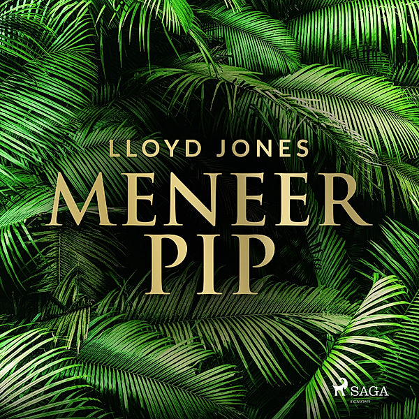 Meneer Pip, Lloyd Jones