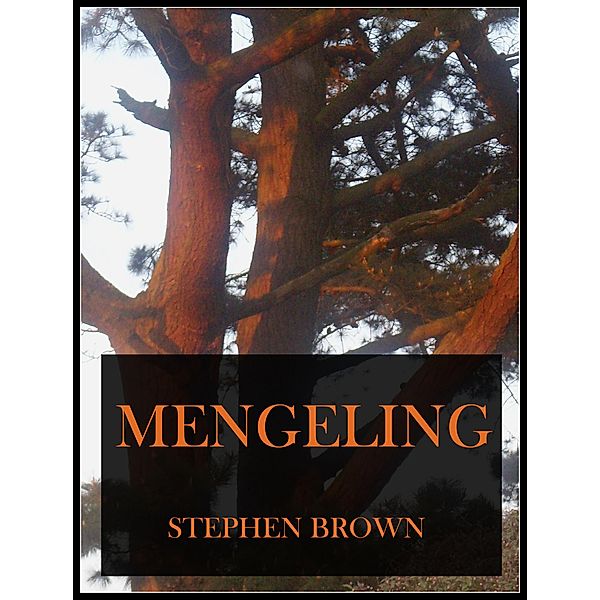 Mengeling (Moments in Rhyme, #2) / Moments in Rhyme, Stephen Brown