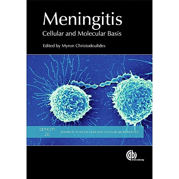Meningitis / Advances in Molecular and Cellular Microbiology