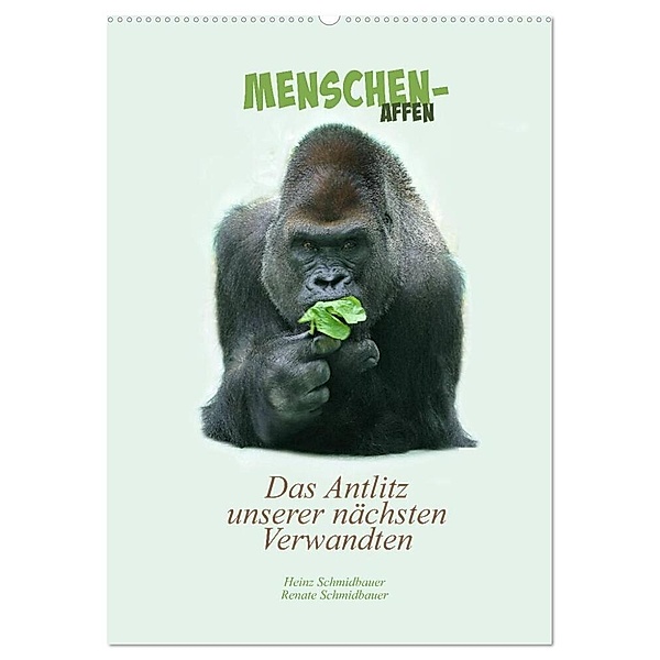 Menschenaffen - Das Antlitz unserer nächsten Verwandten (Wandkalender 2024 DIN A2 hoch), CALVENDO Monatskalender, Heinz Schmidbauer