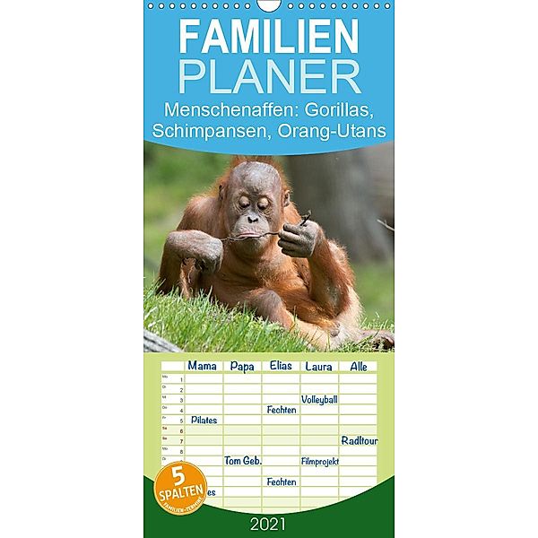 Menschenaffen. Gorillas, Schimpansen, Orang-Utans - Familienplaner hoch (Wandkalender 2021 , 21 cm x 45 cm, hoch), Elisabeth Stanzer