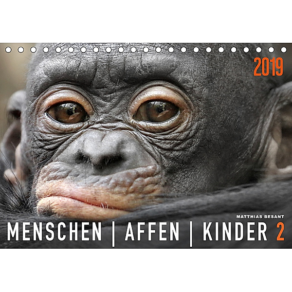 MENSCHENAFFENKINDER 2 (Tischkalender 2019 DIN A5 quer), Matthias Besant