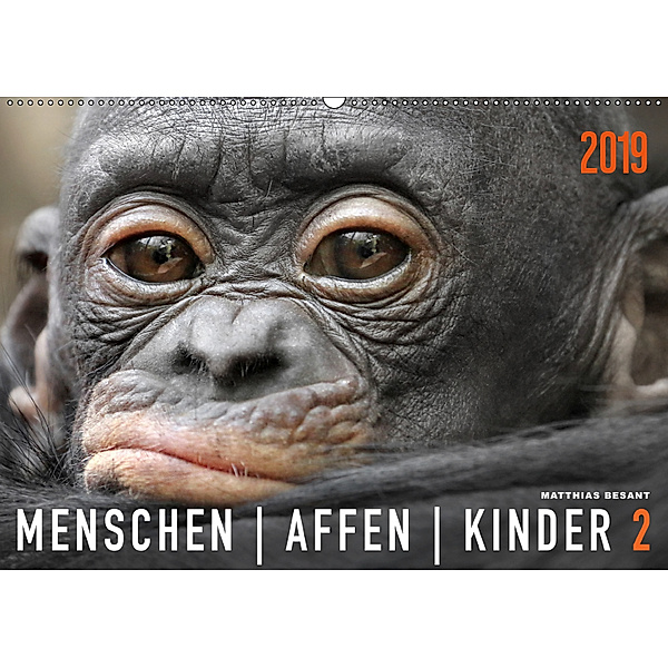 MENSCHENAFFENKINDER 2 (Wandkalender 2019 DIN A2 quer), Matthias Besant