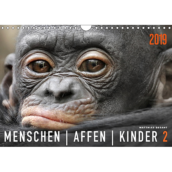 MENSCHENAFFENKINDER 2 (Wandkalender 2019 DIN A4 quer), Matthias Besant