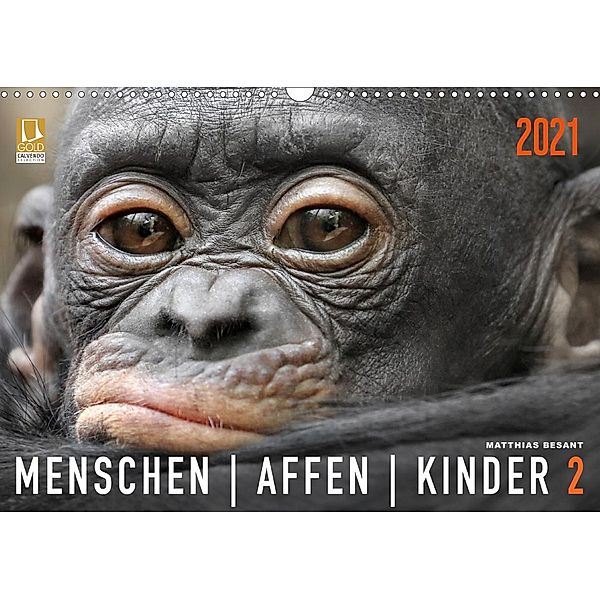 MENSCHENAFFENKINDER 2 (Wandkalender 2021 DIN A3 quer), Matthias Besant