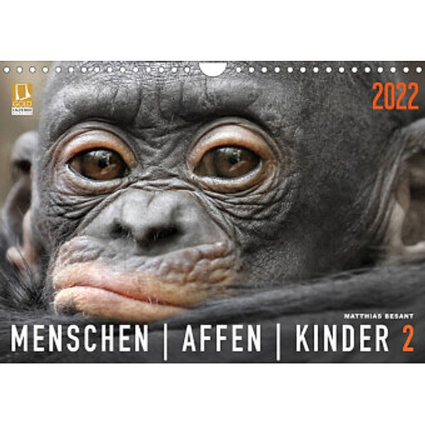 MENSCHENAFFENKINDER 2 (Wandkalender 2022 DIN A4 quer), Matthias Besant