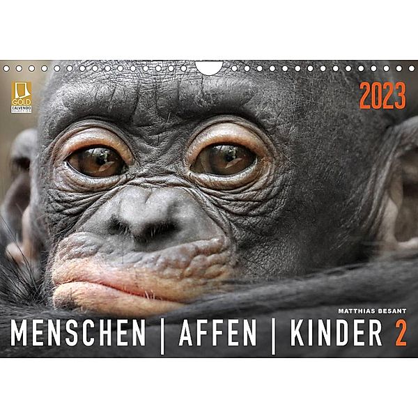 MENSCHENAFFENKINDER 2 (Wandkalender 2023 DIN A4 quer), Matthias Besant