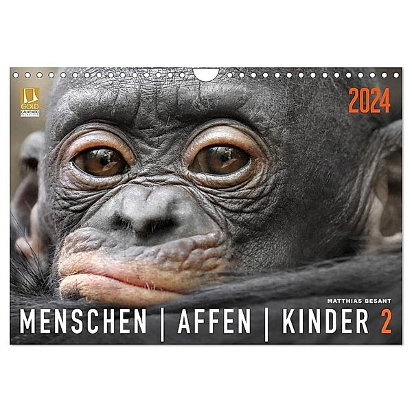 MENSCHENAFFENKINDER 2 (Wandkalender 2024 DIN A4 quer), CALVENDO Monatskalender, Matthias Besant