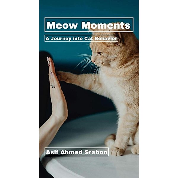 Meow Moments, Asif Ahmed Srabon