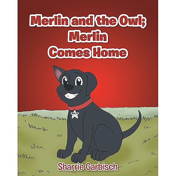 Merlin and the Owl: Merlin Comes Home, Sharrie Garbisch