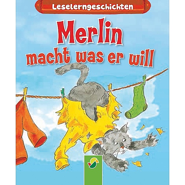Merlin macht, was er will / Leselerngeschichten Bd.1, Carola von Kessel