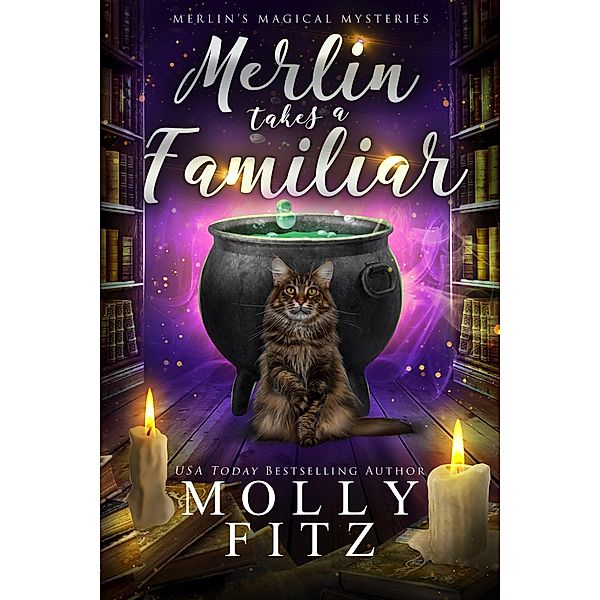 Merlin Takes a Familiar (Merlin's Magical Mysteries, #1) / Merlin's Magical Mysteries, Molly Fitz