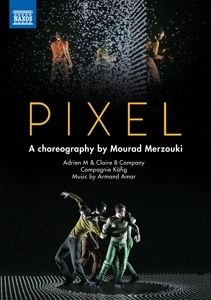 Image of Merzouki: Pixel
