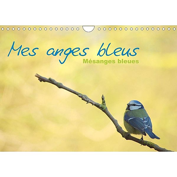 Mes anges bleus mésanges bleues (Calendrier mural 2023 DIN A4 horizontal), Jérôme Aupeix