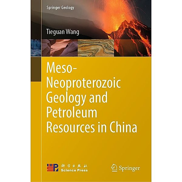 Meso-Neoproterozoic Geology and Petroleum Resources in China / Springer Geology, Tieguan Wang