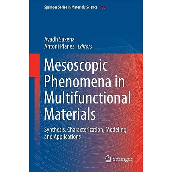 Mesoscopic Phenomena in Multifunctional Materials / Springer Series in Materials Science Bd.198