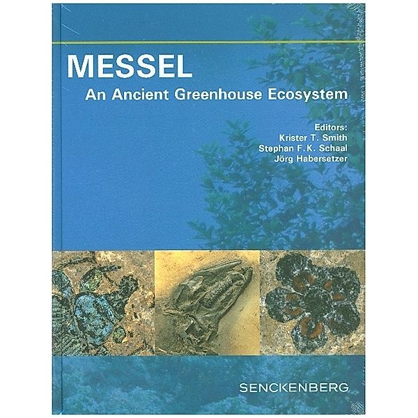 MESSEL - An Ancient Greenhouse Ecosystem