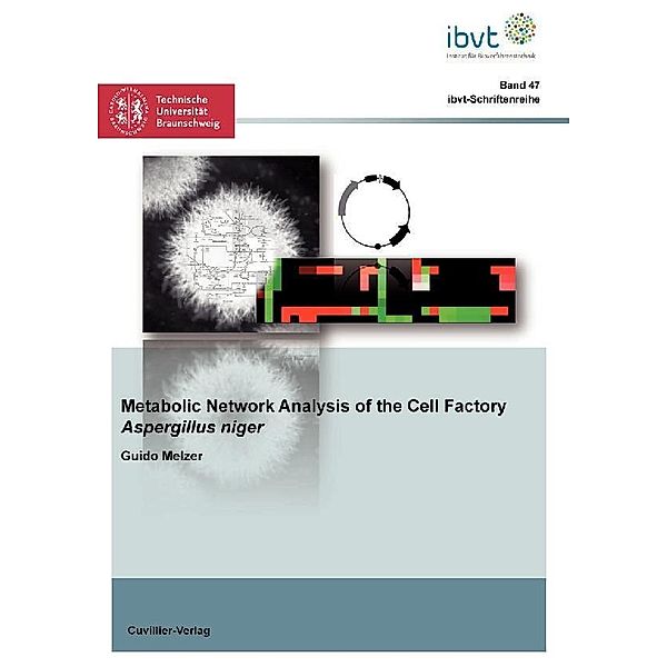 Metabolic Network Analysis of the Cell Factory Aspergillus niger