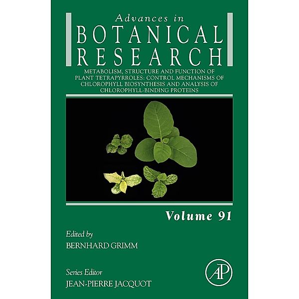 Metabolism, Structure and Function of Plant Tetrapyrroles: Control Mechanisms of Chlorophyll Biosynthesis and Analysis of Chlorophyll-Binding Proteins