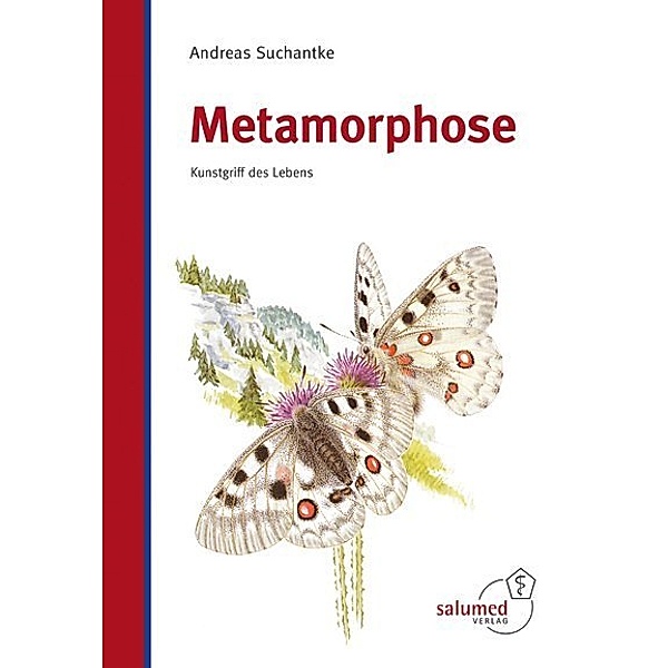 Metamorphose, Andreas Suchantke