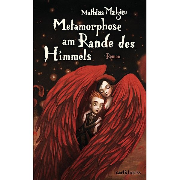 Metamorphose am Rande des Himmels, Mathias Malzieu