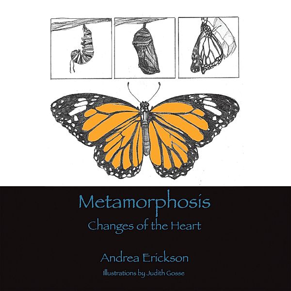 Metamorphosis, Andrea Erickson