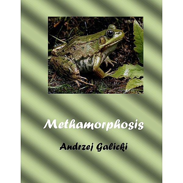 Metamorphosis, Andrzej Galicki