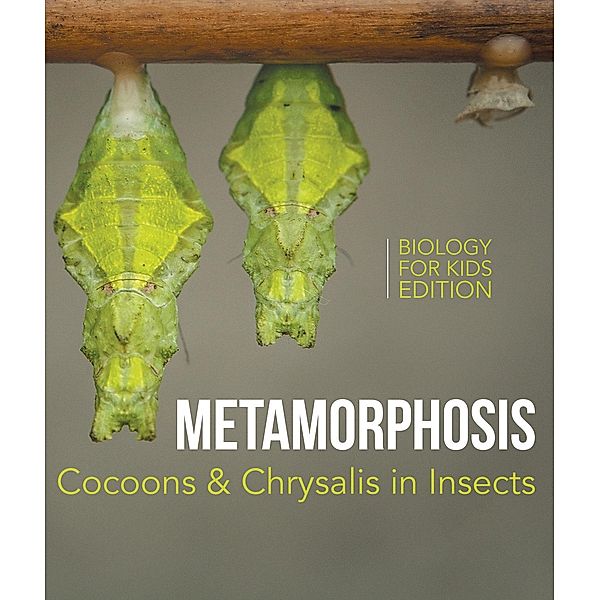 Metamorphosis: Cocoons & Chrysalis in Insects | Biology for Kids Edition / Baby Professor, Baby