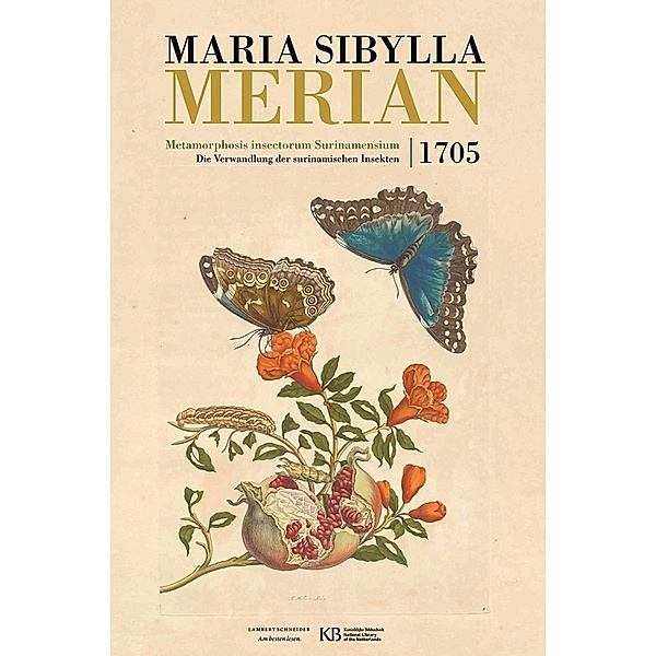 Metamorphosis insectorum Surinamensium, Maria S. Merian