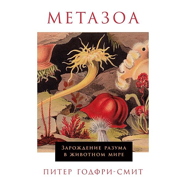 Metazoa: Animal Life and the Birth of the Mind, Peter Godfrey-Smith