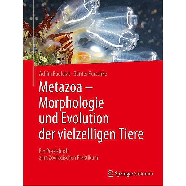 Metazoa - Morphologie und Evolution der vielzelligen Tiere, Achim Paululat, Günter Purschke