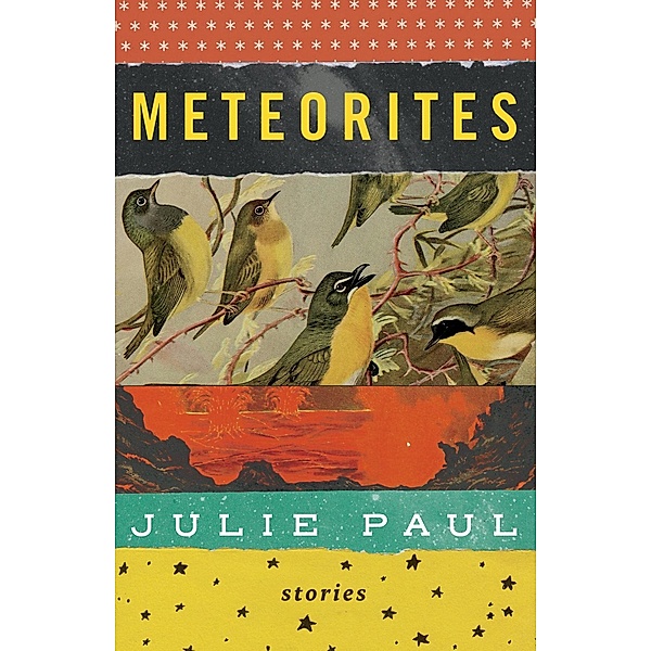 Meteorites / Brindle & Glass, Julie Paul