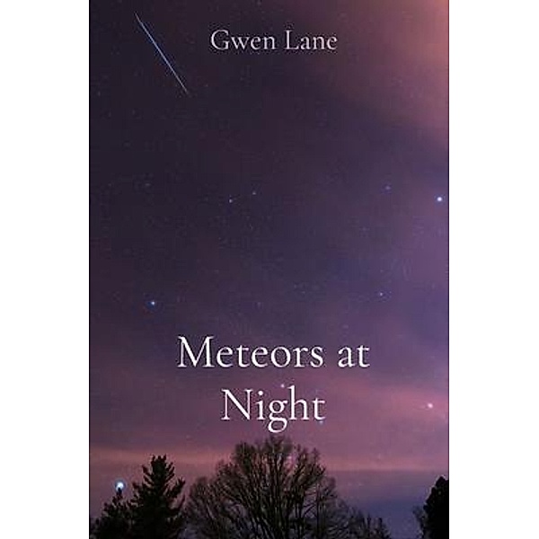 Meteors at Night, Gwen Lane