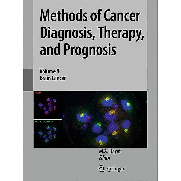 Methods of Cancer Diagnosis, Therapy, and Prognosis