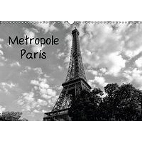 Metropole Paris (Wandkalender 2016 DIN A3 quer), Kattobello