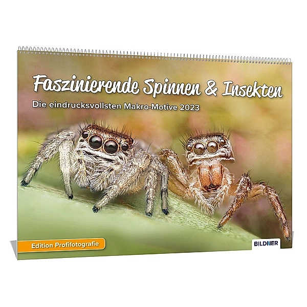 Mett, A: Spinnenkalender 2023, Faszinierende Spinnen & Insek, Alexander Mett