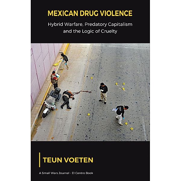 Mexican Drug Violence, Teun Voeten