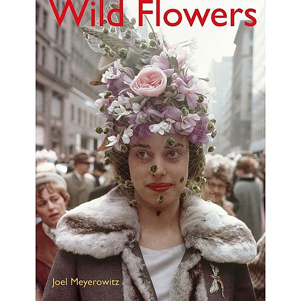 Meyerowitz, J: Joel Meyerowitz: Wild Flowers, Joel Meyerowitz