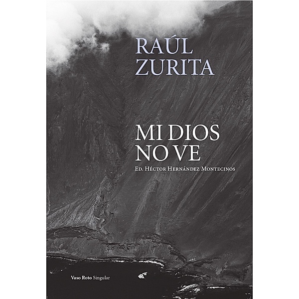Mi Dios no ve / Singular Bd.6, Raúl Zurita