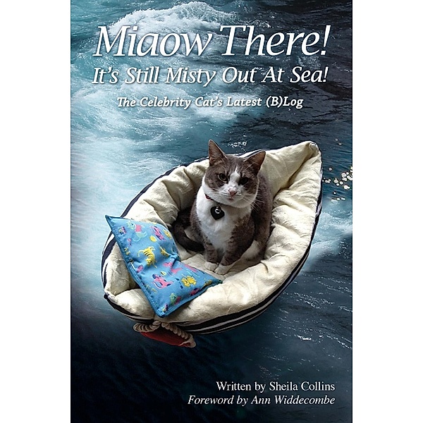 Miaow There! It's Still Misty Out At Sea!, Sheila Collins