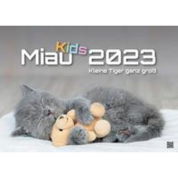 Miau Kids - kleine Tiger ganz groß - Der Katzenkalender - 2023 - Kalender DIN A2
