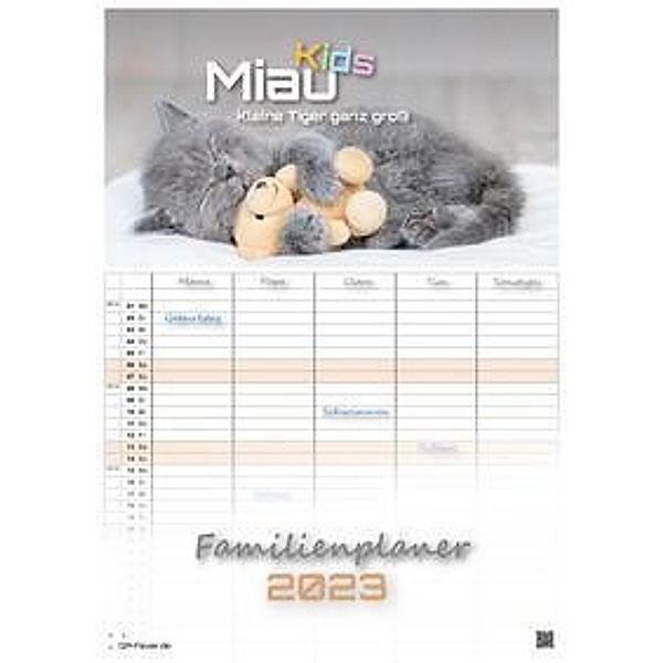Miau Kids - kleine Tiger ganz gross - Der Katzenkalender - 2023 - Kalender DIN A3 - (Familienplaner)