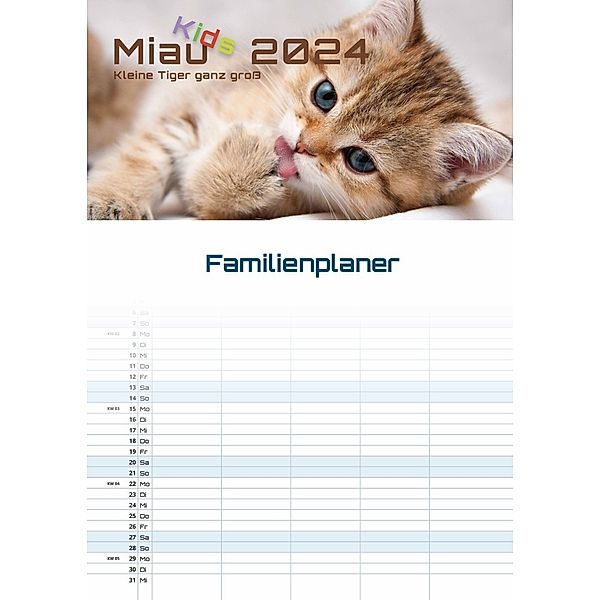 Miau Kids - kleine Tiger ganz groß - Der Katzenkalender - 2024 - Kalender DIN A3 (Familien-/Terminplaner)