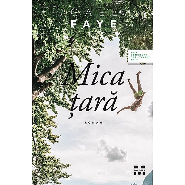 Mica ¿ara / Literary Fiction, Gaël Faye