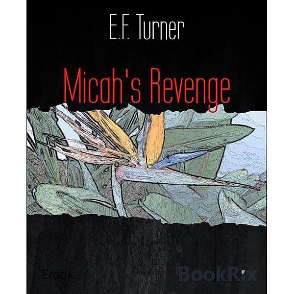 Micah's Revenge, E. F. Turner