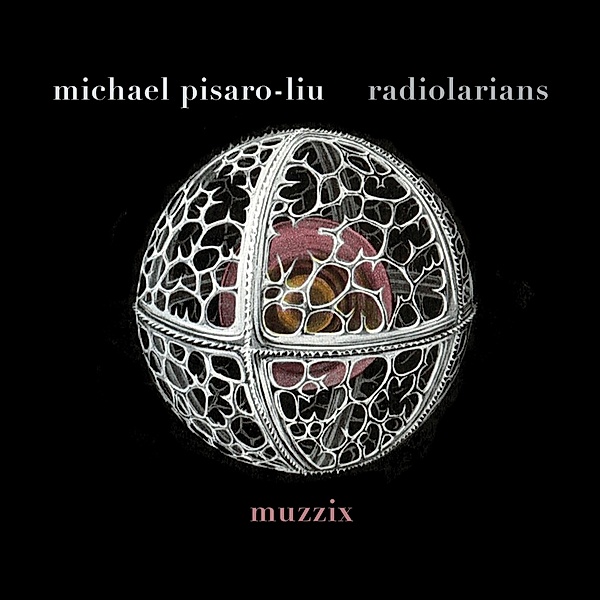 Michael Pisaro-Liu: Radiolarians, Muzzix