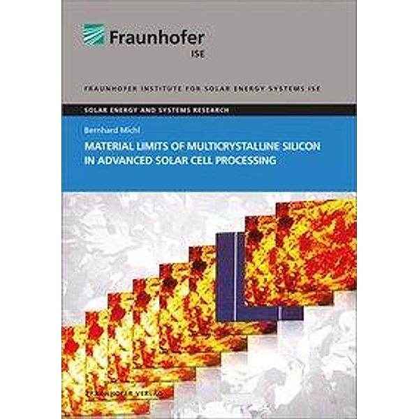 Michl, B: Material Limits of Multicrystalline Silicon, Bernhard Michl
