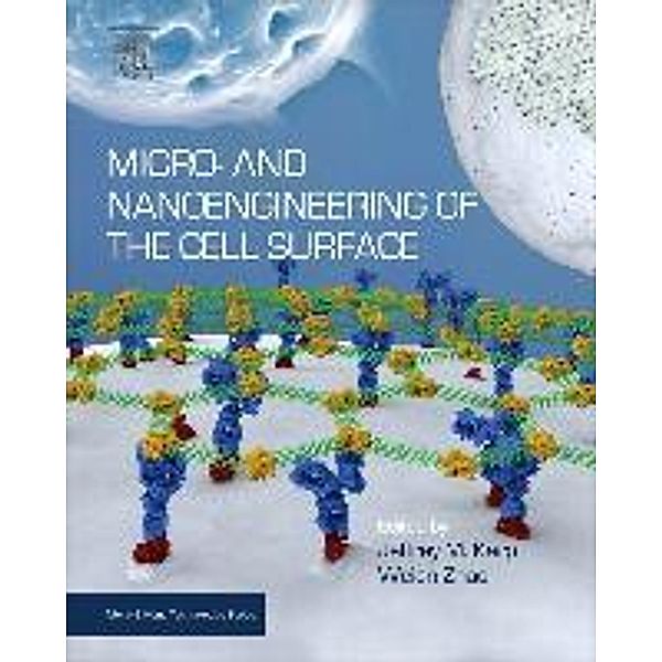 Micro- and Nanoengineering of the Cell Surface