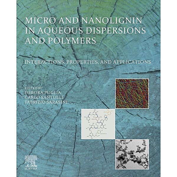 Micro and Nanolignin in Aqueous Dispersions and Polymers